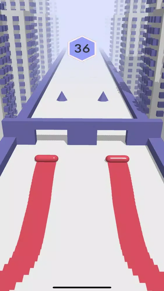 DuoTwist 3D 스크린샷