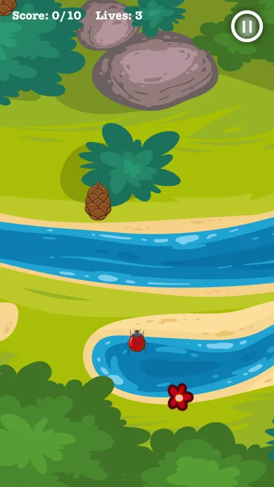 LadybugFun Ekran Görüntüleri