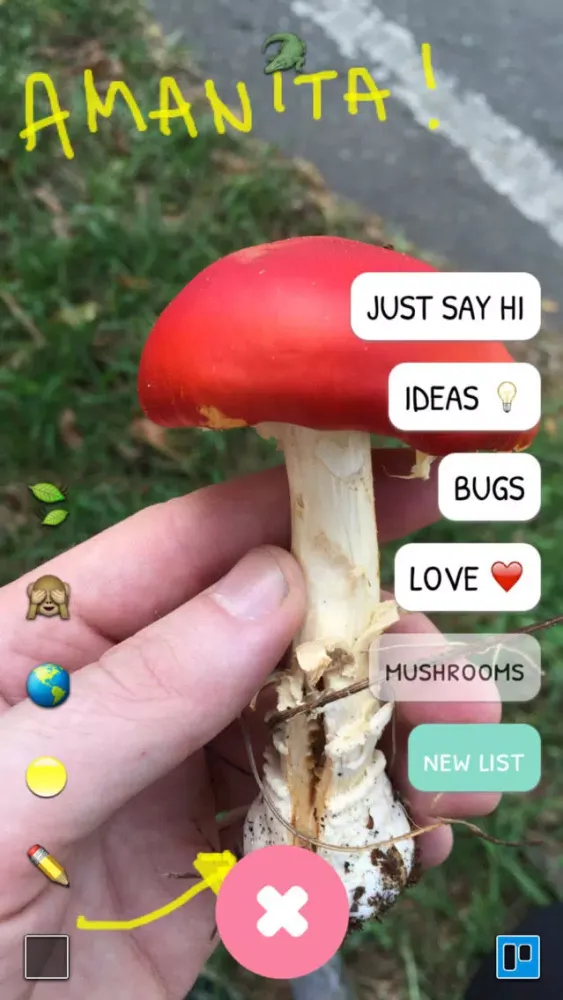 l8r — post ideas to trello应用截图