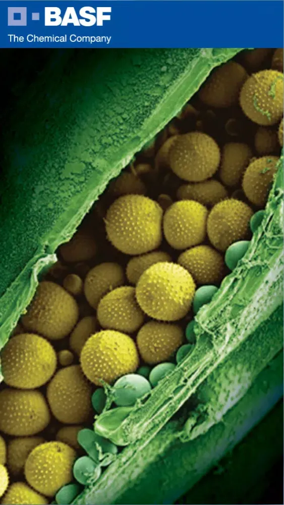 Disease ID स्क्रीनशॉट