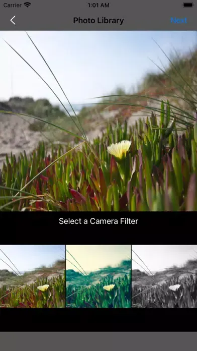 Скриншоты Mixagraph AI Social Images