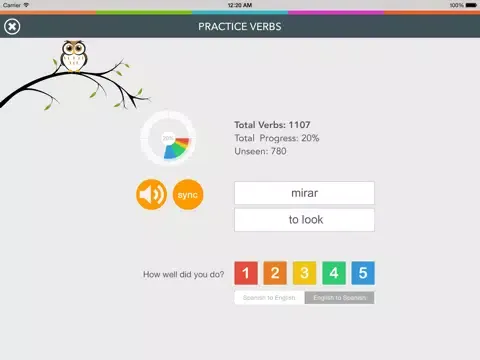 Captures d'écran de Spanish Verb Coach - Learn Subject Pronouns and Practice Verb Conjugations iPad 