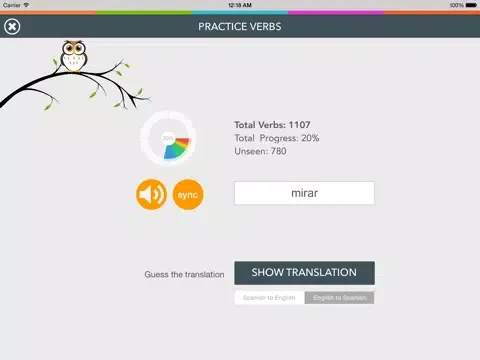 Captures d'écran de Spanish Verb Coach - Learn Subject Pronouns and Practice Verb Conjugations iPad 