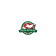 Pizza Renard Koenigshoffen