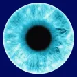 Eye World -- what can the Color blindness see,And Dog see,Magic mirror more Eye World -- what can the Color blindness see,And Dog see,Magic mirror more
