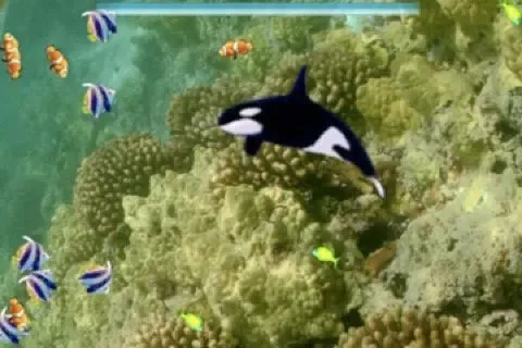 Laser Shark Free سکرین شاٹس