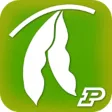 Purdue Extension Soybean Field Scout Purdue Extension Soybean Field Scout