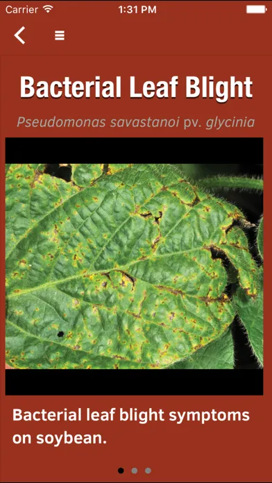 Purdue Extension Soybean Field Scout Ekran Görüntüleri