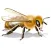 MyBees