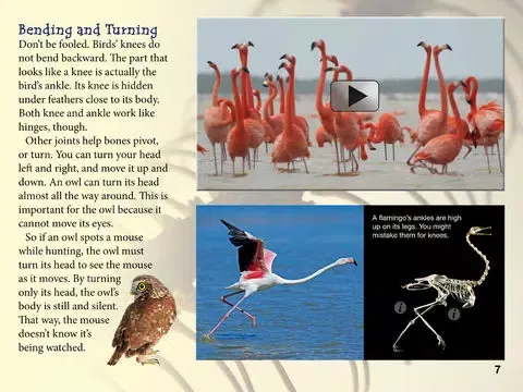 تصاویر National Geographic Explorer for Schools iPad 