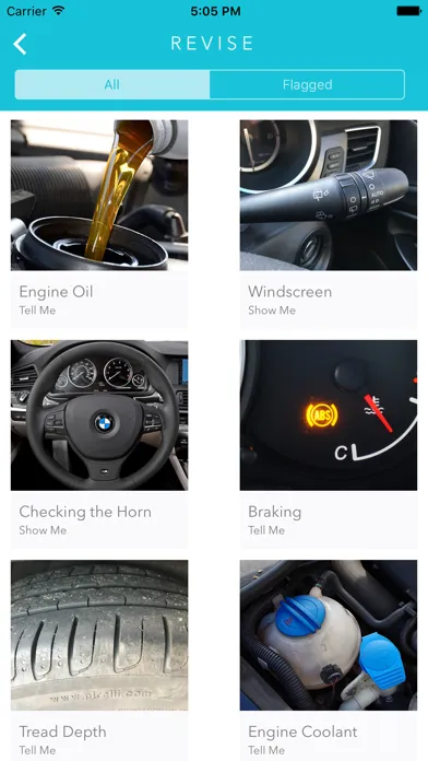 Tangkapan skrin Show Me Tell Me Lite - Practical Driving Test