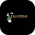 Allo Pizza 91