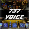 737 Voice - Aural Warnings 737 Voice - Aural Warnings
