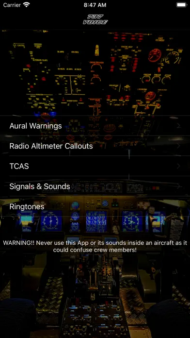 Capturas de pantalla de 737 Voice - Aural Warnings