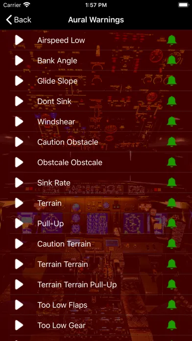 Capturas de pantalla de 737 Voice - Aural Warnings