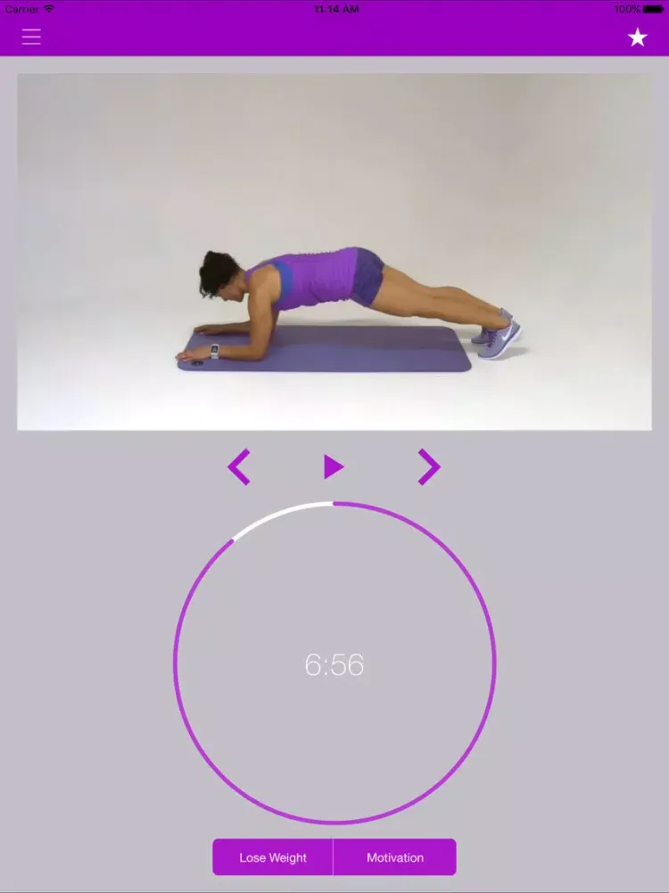 Captures d'écran de Plank Exercise Challenge and Flat Belly Workout iPad 