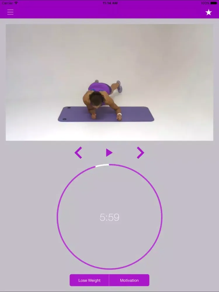 Captures d'écran de Plank Exercise Challenge and Flat Belly Workout iPad 