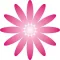 365 Flower