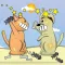 Cat vs. Dog