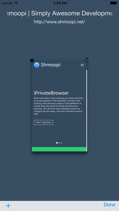 Tangkapan skrin iPrivateBrowser