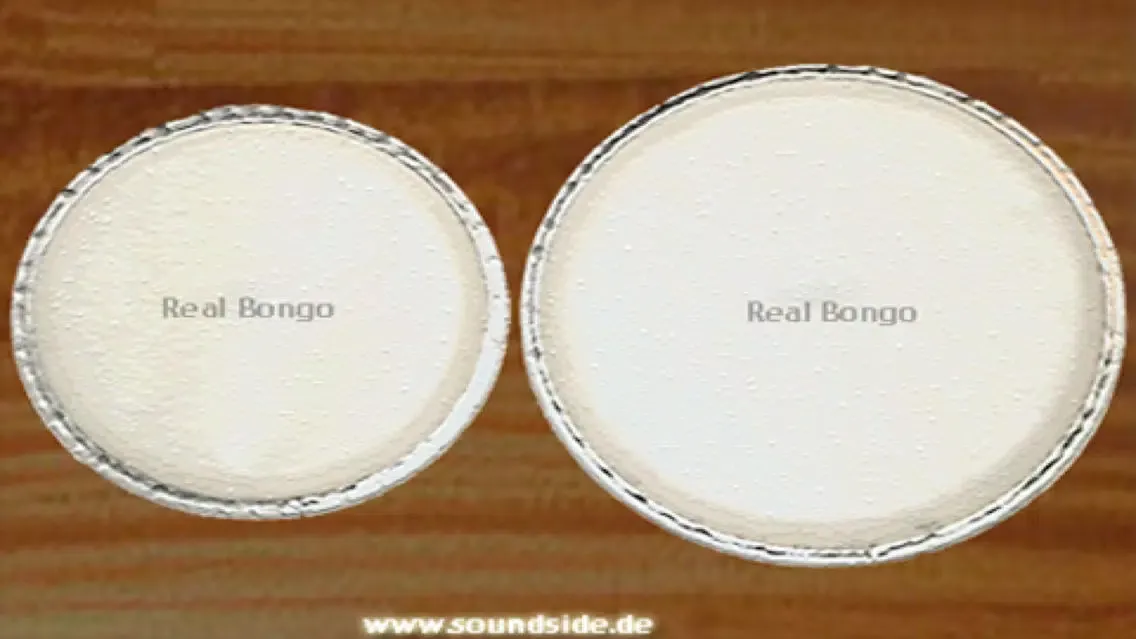 Zrzuty ekranu RealBongos (Percussion)