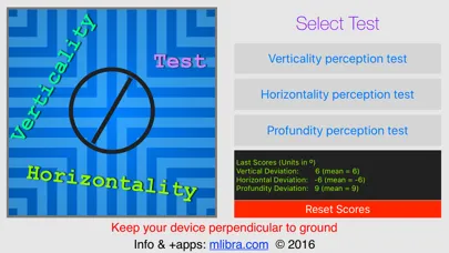 Verticality Test স্ক্রিনশট