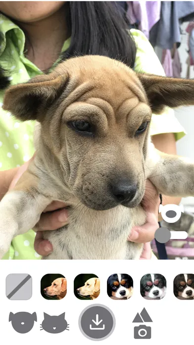 PetEasy - Dog Cat Pet Filter Screenshots