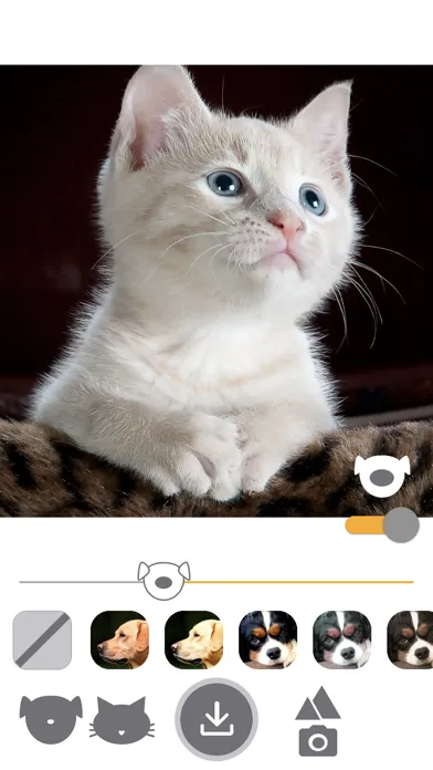 PetEasy - Dog Cat Pet Filter Screenshots