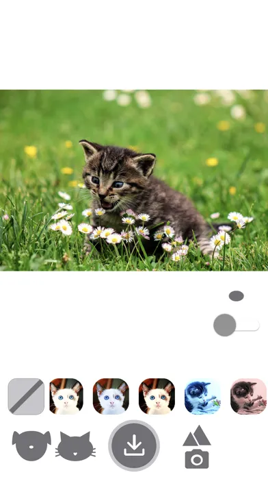 PetEasy - Dog Cat Pet Filter Screenshots