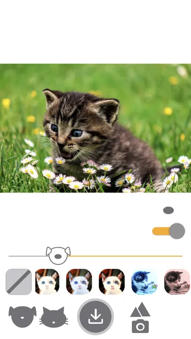 PetEasy - Dog Cat Pet Filter Screenshots