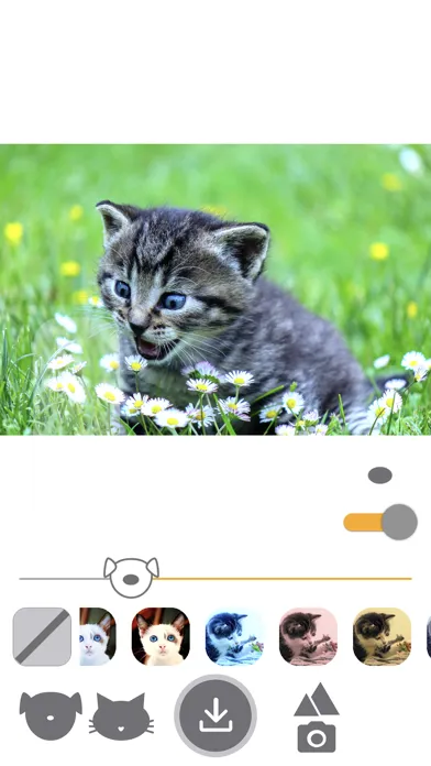 PetEasy - Dog Cat Pet Filter Screenshots