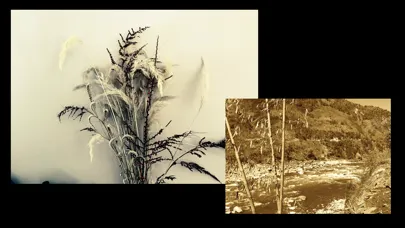 Retro Camera - black & white سکرین شاٹس