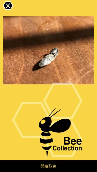 Bee - Color Pick & collection 스크린샷