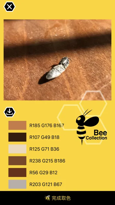 Bee - Color Pick & collection 스크린샷