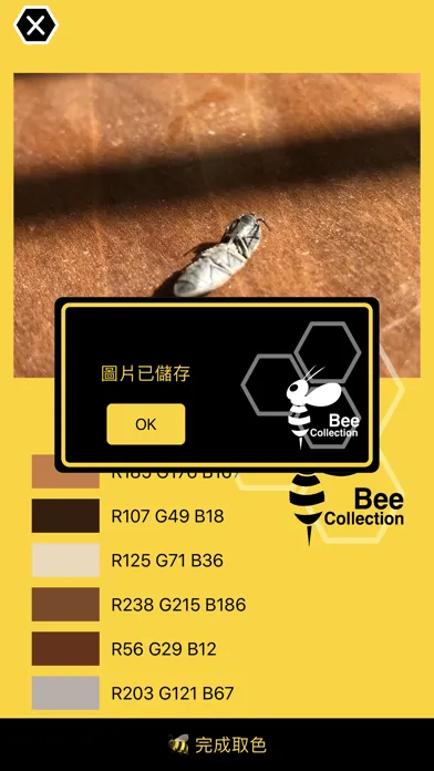 Bee - Color Pick & collection 스크린샷