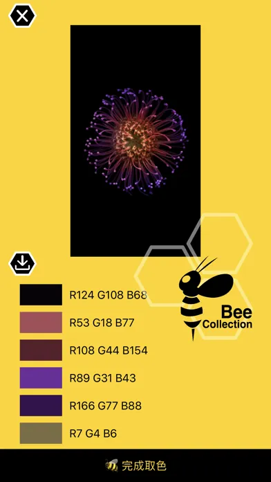 Bee - Color Pick & collection 스크린샷