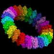 Learn Amino Acids Learn Amino Acids
