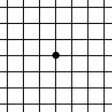 Amsler Grid App