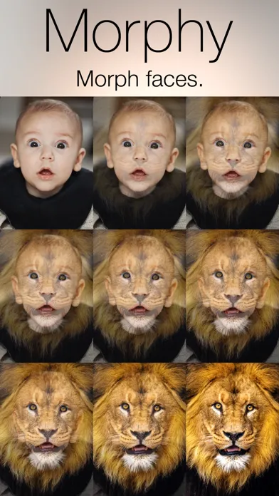 Captures d'écran de Morphy - Face Morph GIF & Movie Maker