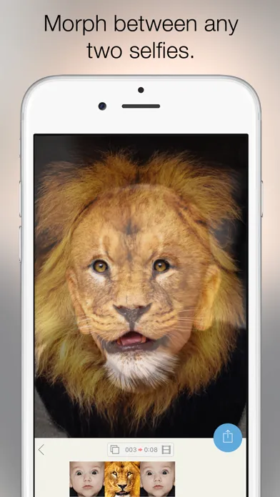 Captures d'écran de Morphy - Face Morph GIF & Movie Maker