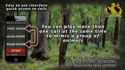 تصاویر Australia Game and Pest Calls