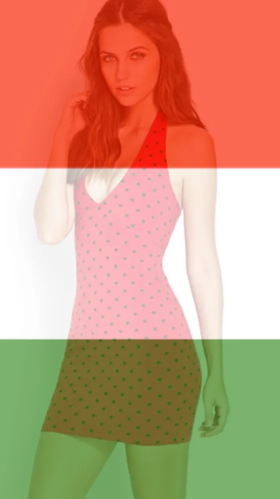 Flag Your Images Free スクリーンショット