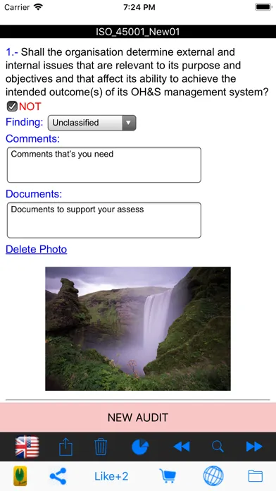 Screenshot di Easy ISO and OHSAS Audits
