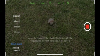 SPEEDUP Softball应用截图
