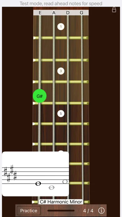 Screenshot di Bass Sight Reading Trainer