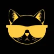 Solo Cat Solo Cat
