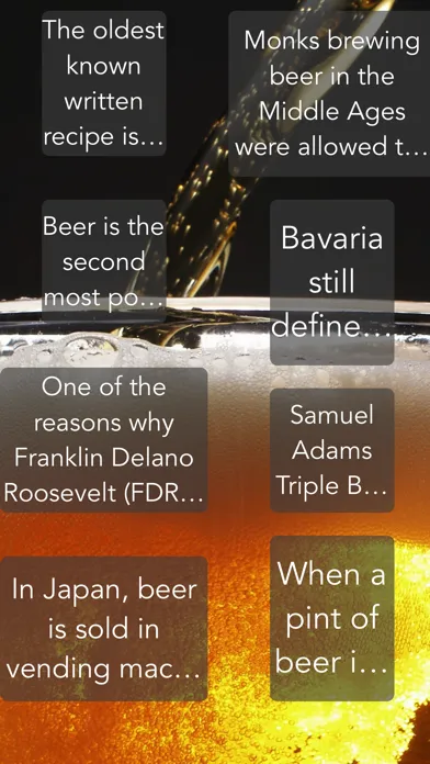 Tangkapan layar Beer Fun