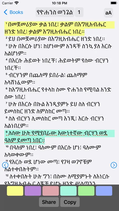 ภาพหน้าจอของ Amharic Bible