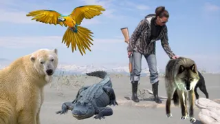 Hunting Booth应用截图