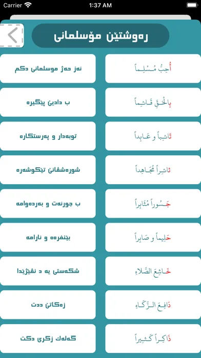 صور بو زاروكى موسلمان